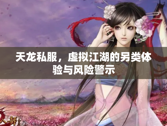 天龙私服，虚拟江湖的另类体验与风险警示