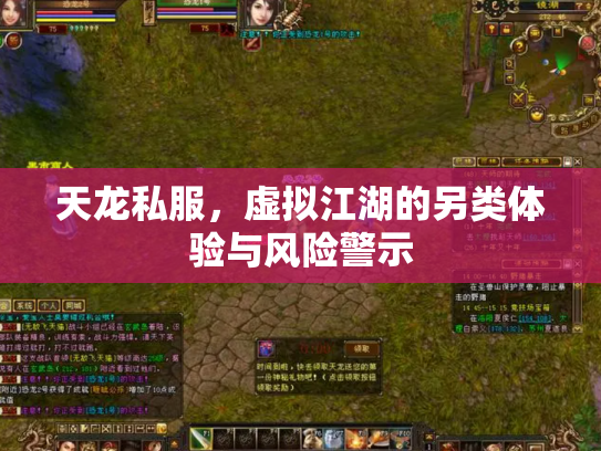 天龙私服，虚拟江湖的另类体验与风险警示