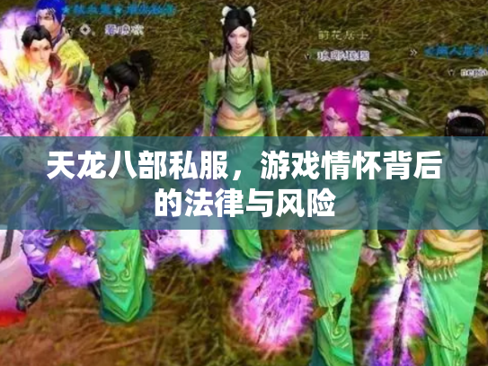 天龙八部私服，游戏情怀背后的法律与风险