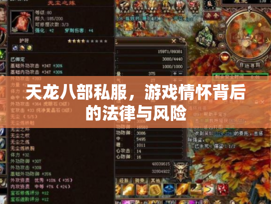 天龙八部私服，游戏情怀背后的法律与风险