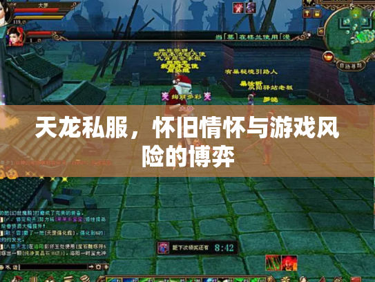 天龙私服，怀旧情怀与游戏风险的博弈