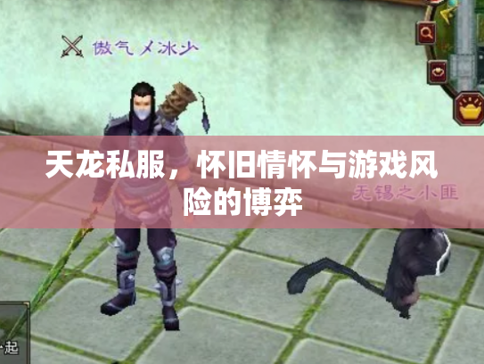 天龙私服，怀旧情怀与游戏风险的博弈