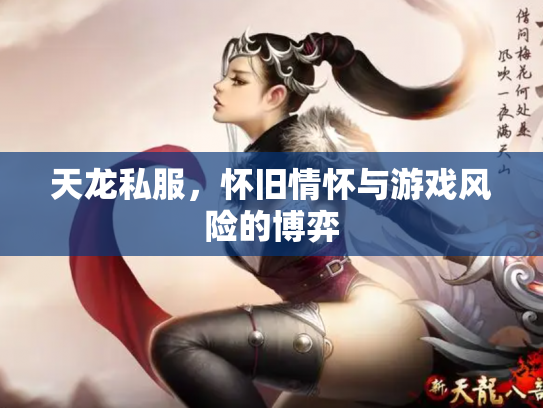 天龙私服，怀旧情怀与游戏风险的博弈