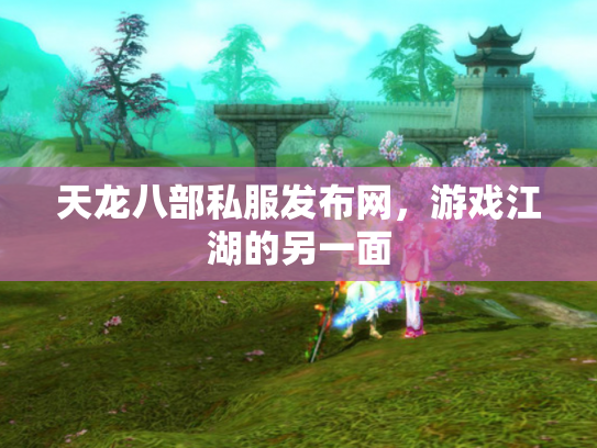 天龙八部私服发布网，游戏江湖的另一面