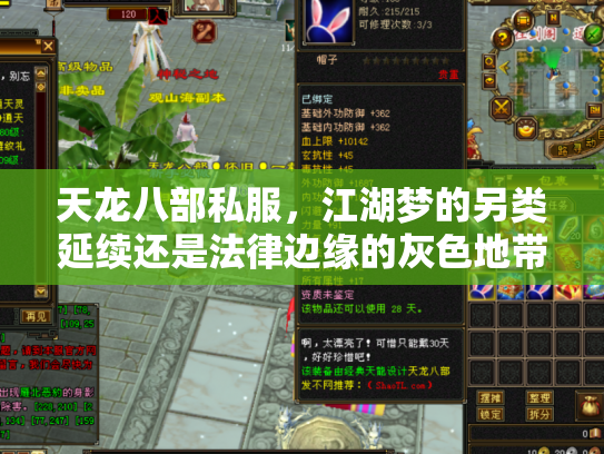 天龙八部私服，江湖梦的另类延续还是法律边缘的灰色地带？