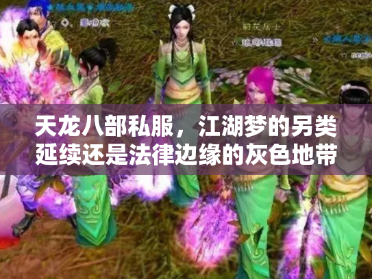 天龙八部私服，江湖梦的另类延续还是法律边缘的灰色地带？