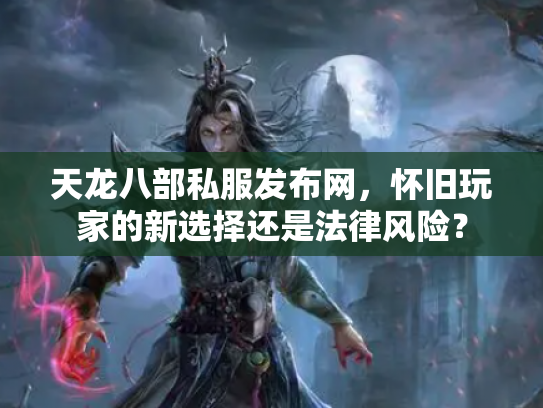 天龙八部私服发布网，怀旧玩家的新选择还是法律风险？