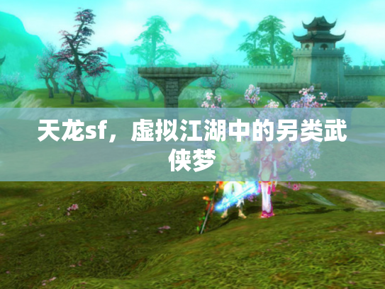 天龙sf，虚拟江湖中的另类武侠梦