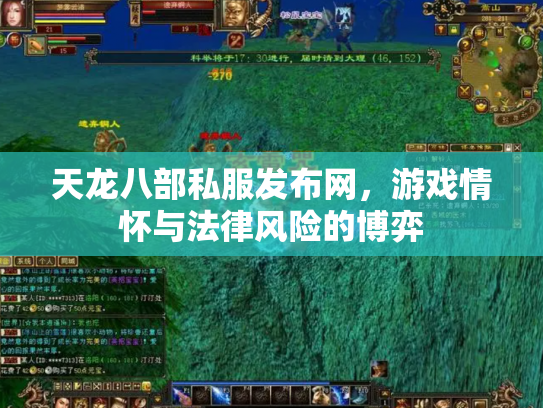 天龙八部私服发布网，游戏情怀与法律风险的博弈