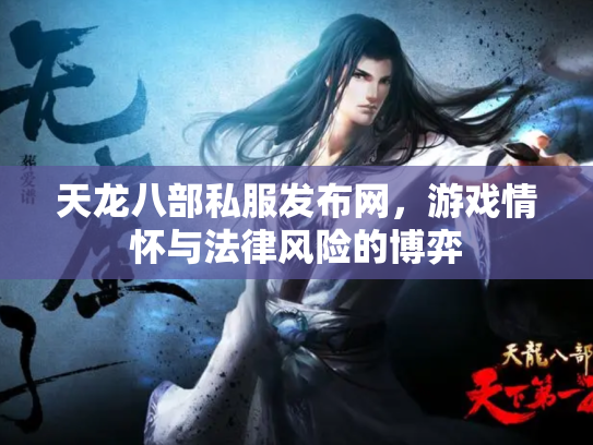 天龙八部私服发布网，游戏情怀与法律风险的博弈