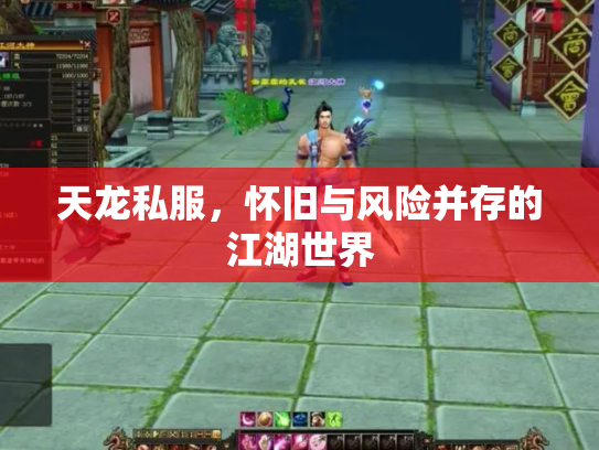 天龙私服，怀旧与风险并存的江湖世界