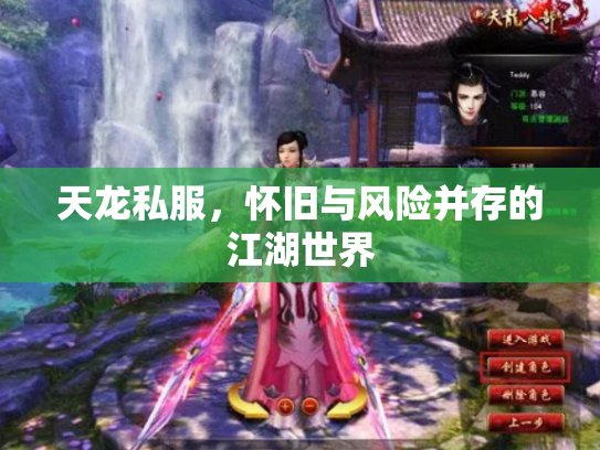 天龙私服，怀旧与风险并存的江湖世界