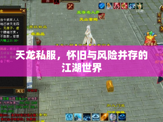 天龙私服，怀旧与风险并存的江湖世界