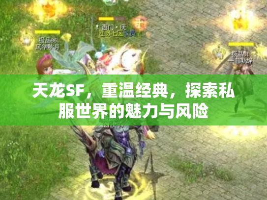 天龙SF，重温经典，探索私服世界的魅力与风险