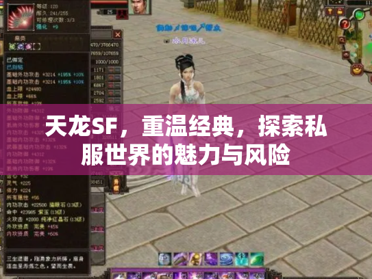 天龙SF，重温经典，探索私服世界的魅力与风险