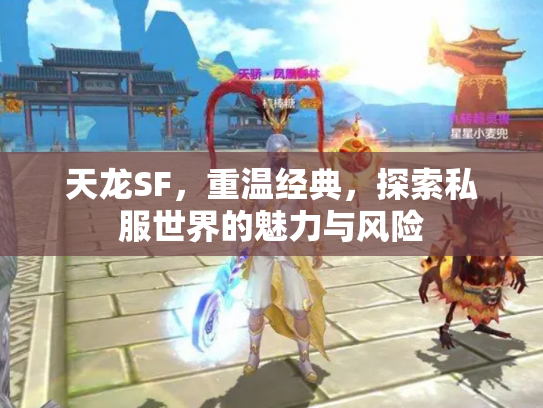 天龙SF，重温经典，探索私服世界的魅力与风险