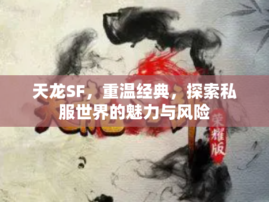 天龙SF，重温经典，探索私服世界的魅力与风险