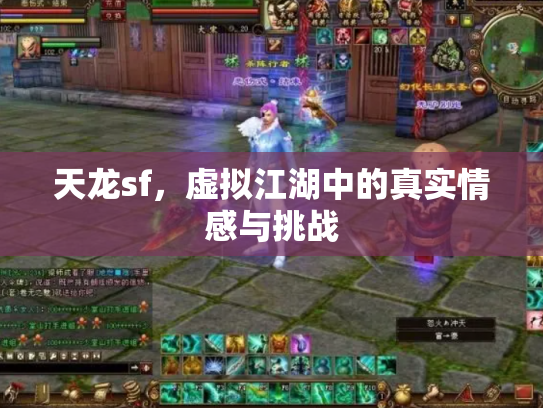 天龙sf，虚拟江湖中的真实情感与挑战