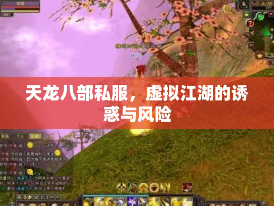 天龙八部私服，虚拟江湖的诱惑与风险
