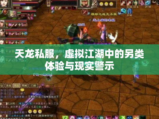 天龙私服，虚拟江湖中的另类体验与现实警示