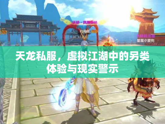 天龙私服，虚拟江湖中的另类体验与现实警示