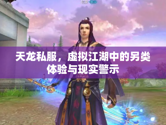 天龙私服，虚拟江湖中的另类体验与现实警示
