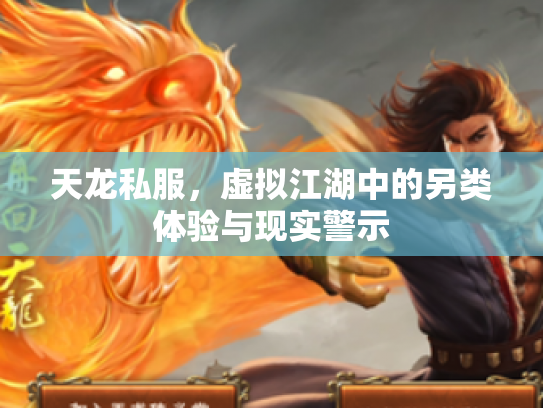 天龙私服，虚拟江湖中的另类体验与现实警示