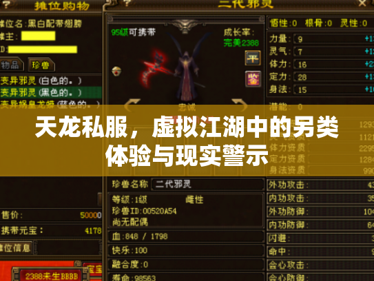 天龙私服，虚拟江湖中的另类体验与现实警示