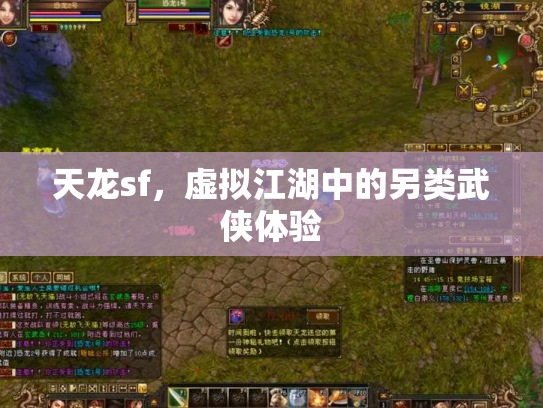 天龙sf，虚拟江湖中的另类武侠体验