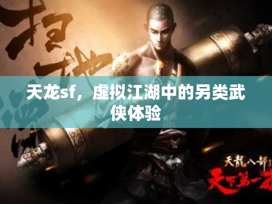 天龙sf，虚拟江湖中的另类武侠体验