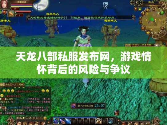 天龙八部私服发布网，游戏情怀背后的风险与争议