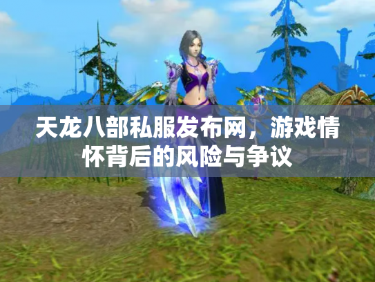 天龙八部私服发布网，游戏情怀背后的风险与争议