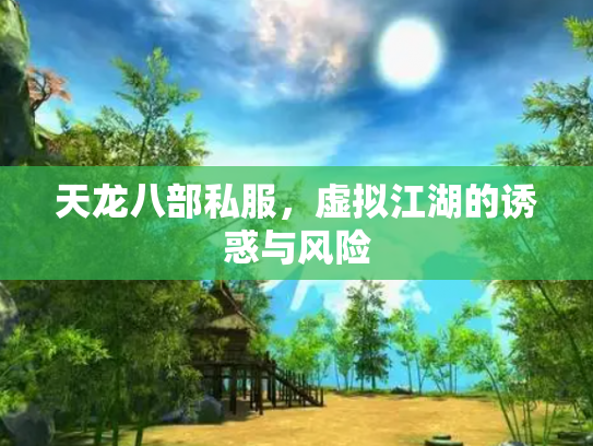 天龙八部私服，虚拟江湖的诱惑与风险
