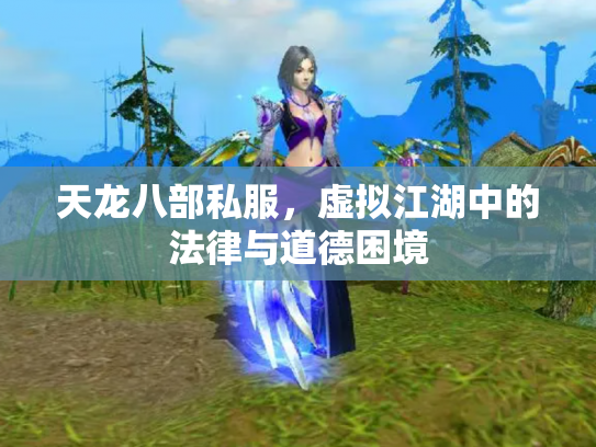 天龙八部私服，虚拟江湖中的法律与道德困境