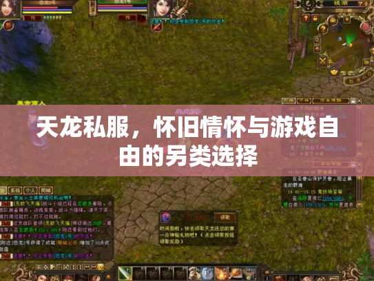 天龙私服，怀旧情怀与游戏自由的另类选择