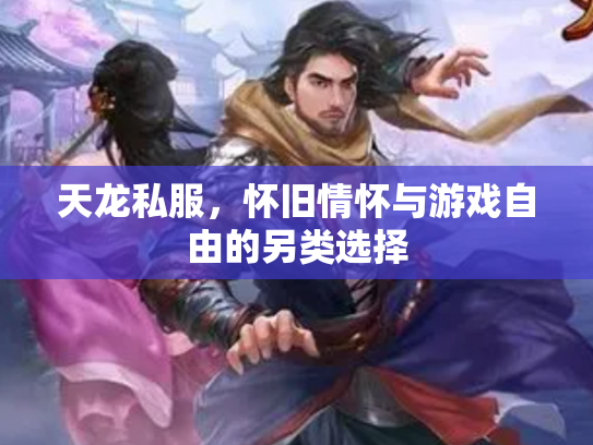 天龙私服，怀旧情怀与游戏自由的另类选择