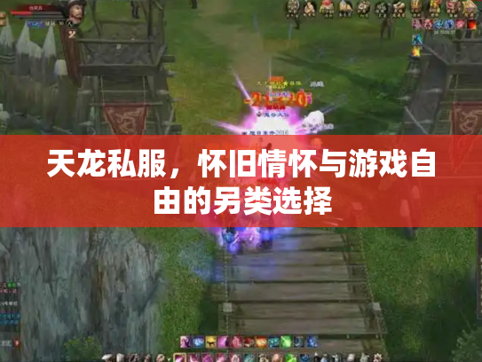 天龙私服，怀旧情怀与游戏自由的另类选择