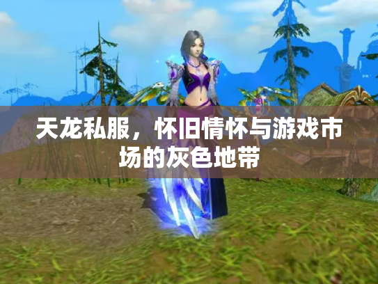 天龙私服，怀旧情怀与游戏市场的灰色地带