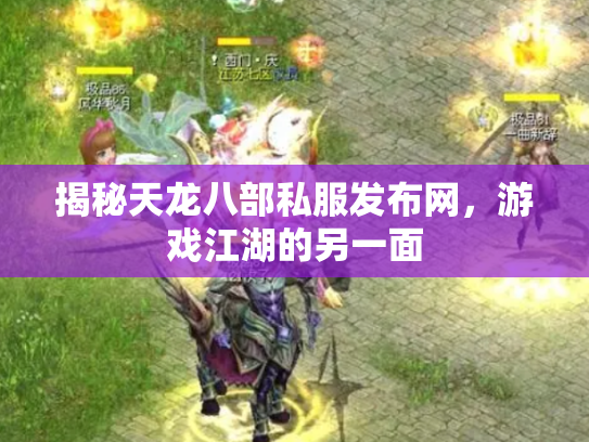 揭秘天龙八部私服发布网，游戏江湖的另一面