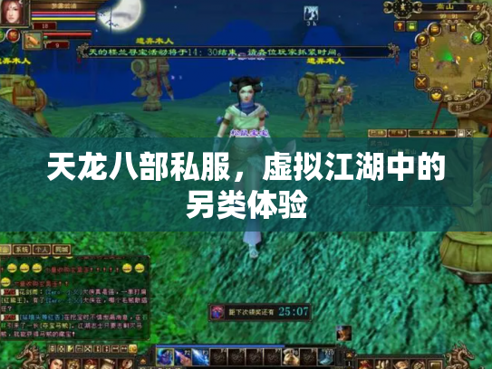 天龙八部私服，虚拟江湖中的另类体验