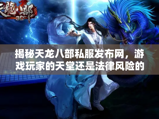 揭秘天龙八部私服发布网，游戏玩家的天堂还是法律风险的深渊？