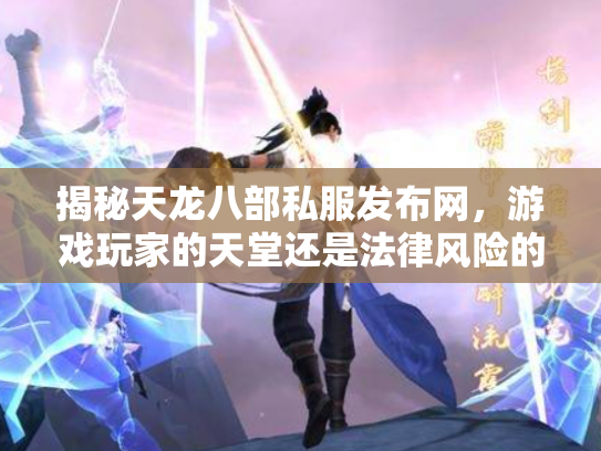 揭秘天龙八部私服发布网，游戏玩家的天堂还是法律风险的深渊？