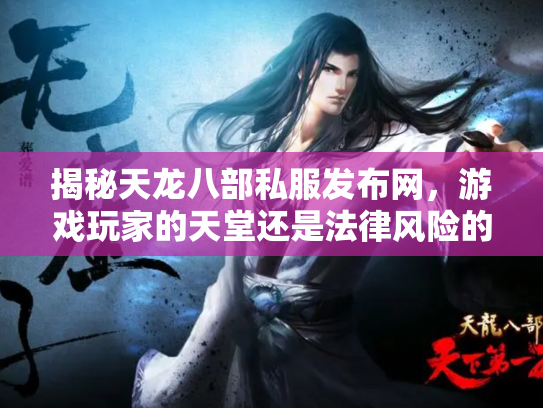 揭秘天龙八部私服发布网，游戏玩家的天堂还是法律风险的深渊？