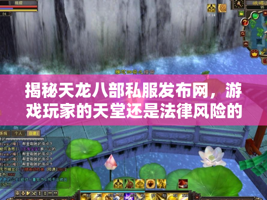 揭秘天龙八部私服发布网，游戏玩家的天堂还是法律风险的深渊？