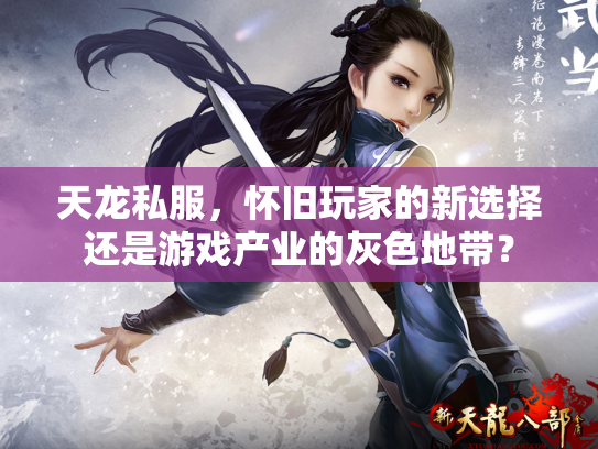 天龙私服，怀旧玩家的新选择还是游戏产业的灰色地带？