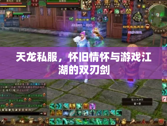 天龙私服，怀旧情怀与游戏江湖的双刃剑