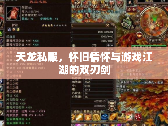 天龙私服，怀旧情怀与游戏江湖的双刃剑