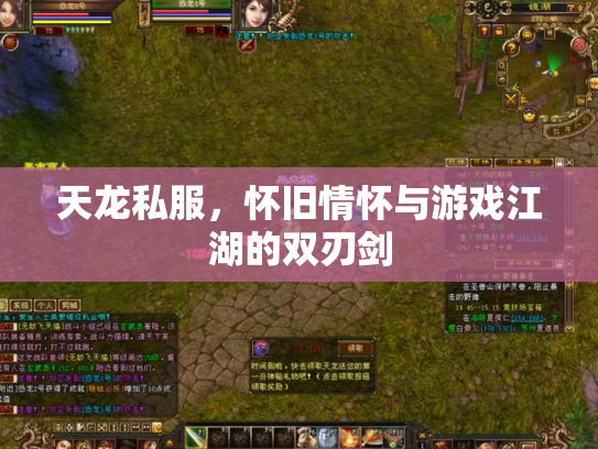 天龙私服，怀旧情怀与游戏江湖的双刃剑