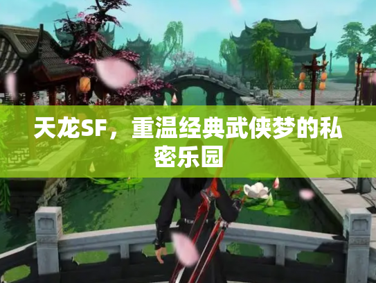 天龙SF，重温经典武侠梦的私密乐园