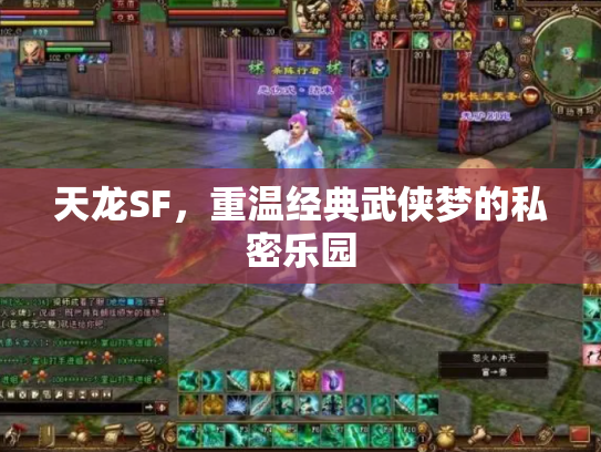 天龙SF，重温经典武侠梦的私密乐园